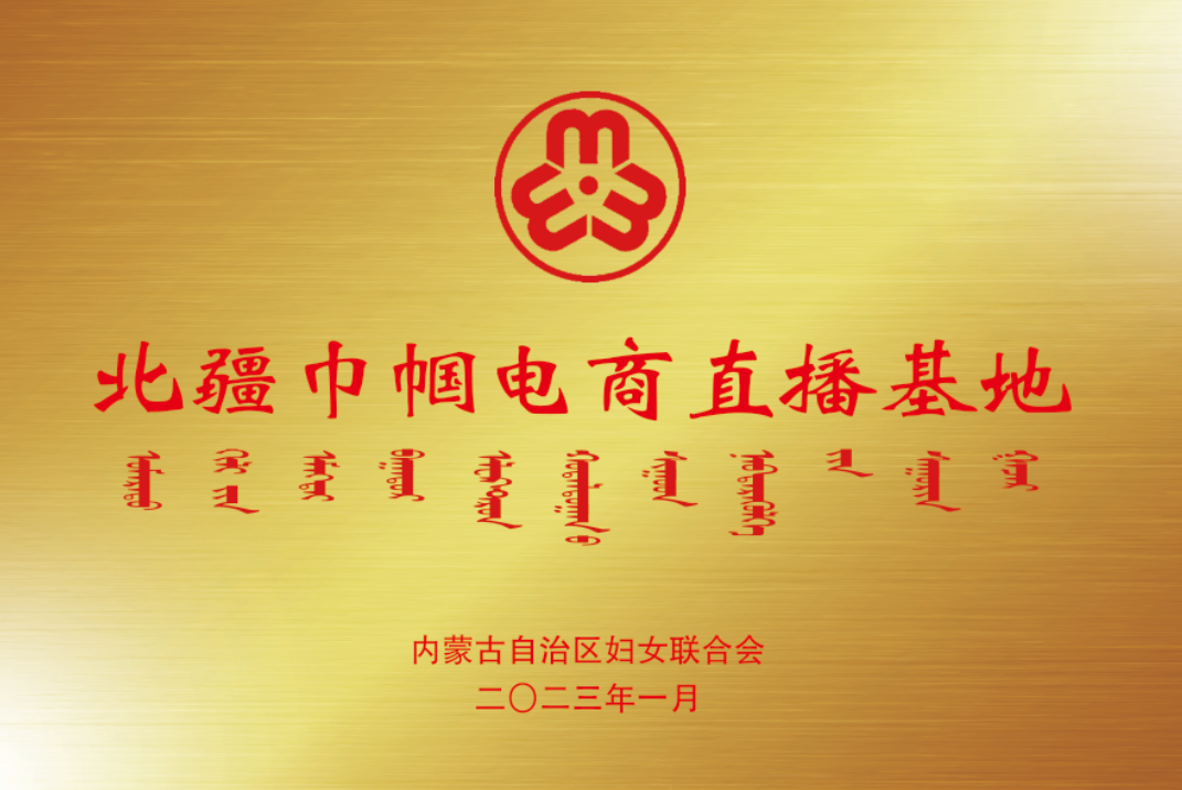 北疆巾幗電商直播基地.png